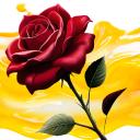 Rose Wallpaper Flower 3D image 15.7.7