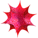 Wolfram Mathematica 14.0.0