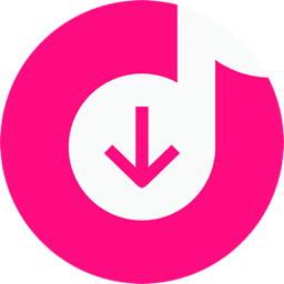 4K Tokkit Pro 25.1.0