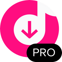 4K Tokkit Pro 25.1.0