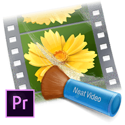 ABSoft Neat Video Pro 5.3 for Adobe Premiere