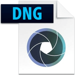Adobe DNG Converter 17.3.1