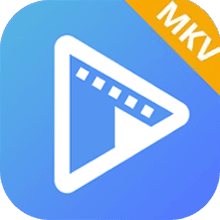 AVAide MKV Converter 1.0.16