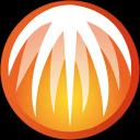 BitComet 2.13