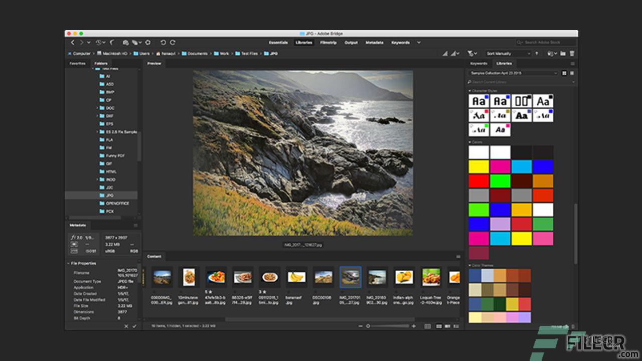 Adobe Bridge 2024 (v14.0.0) Download Latest Preactivated FileCR