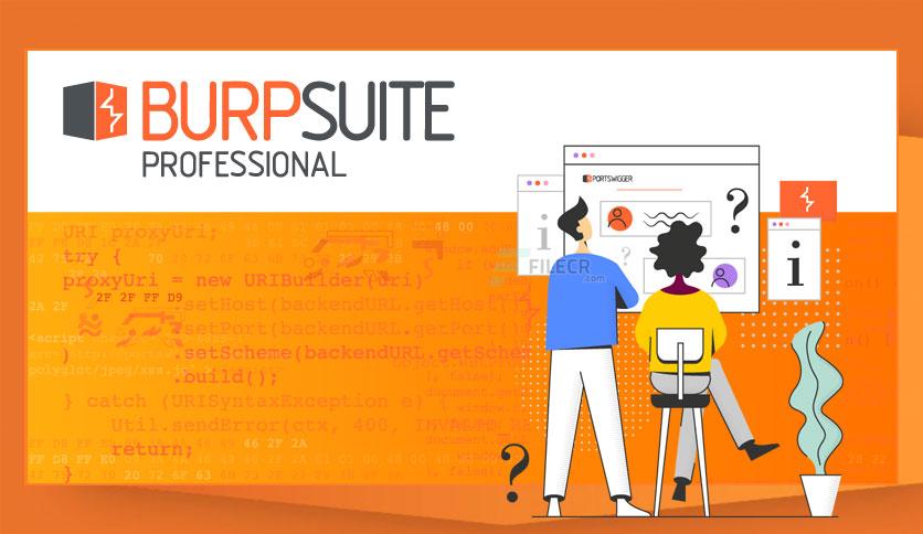 Burp Suite Professional 1
