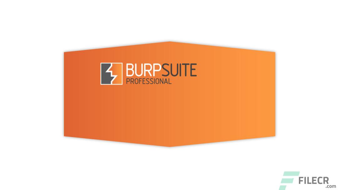 Burp Suite Professional 3