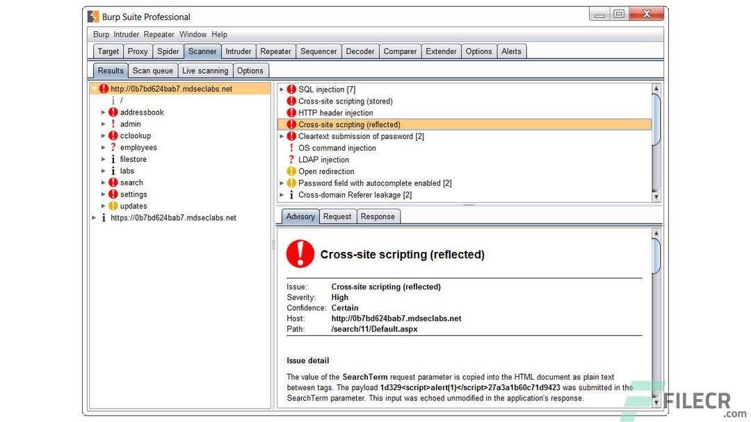 Burp Suite Professional 2