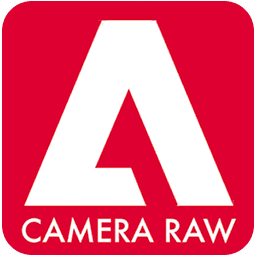 Adobe Camera Raw 17.3.1