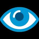CareUEyes Pro 2.4.10