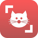 Cat Scanner: Breed Recognition 17.2.1-G