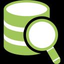 DbVisualizer Pro 25.2.2