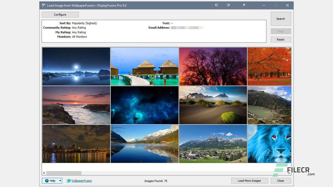 DisplayFusion Pro 10.1.2 Free Download FileCR
