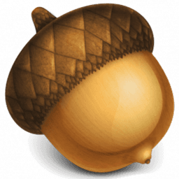 Acorn 8.1.1