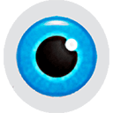Hetman Internet Spy 3.9
