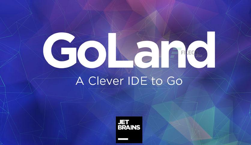 JetBrains GoLand 2023.3.4