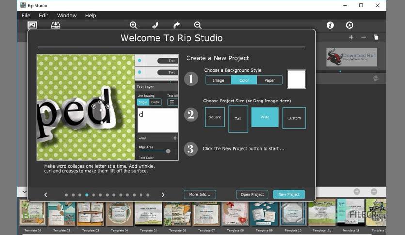 RIP Studio Pro—Rip, Cut and Tape Collage Software