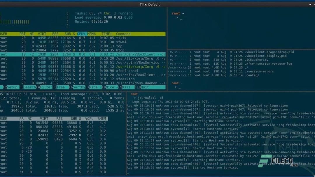 Kali linux 2025 1c free download latest version filecr