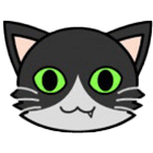 MediCat – Second Opinion 1.0