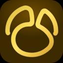 Navicat Premium 17.2.6