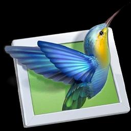 WnSoft PTE AV Studio Pro 11.0.17.2