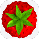 Smultron 12.5.3