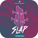 uJAM Virtual Bassist SLAP 2.1.1