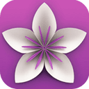 Vellum 3.9.0