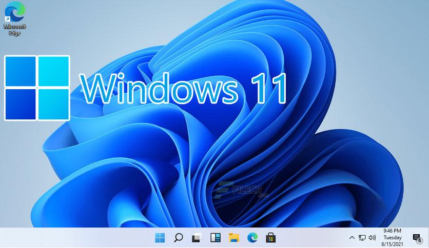 Windows 11 Professional Preactivated 2024 Download- FileCR