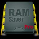 RAM Saver Professional 24.5