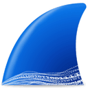 Wireshark 4.4.6