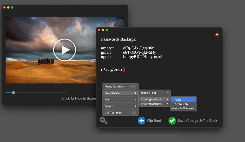 Screenshot