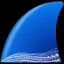 Wireshark 4.4.7