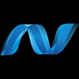 Microsoft .NET 9.0.300