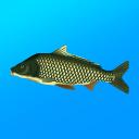 True Fishing. Simulator 1.17.1.858