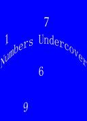 Numbers Undercover