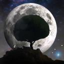 3D Moon Tree Live Wallpaper 1.2