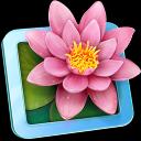 LilyView 1.6.0