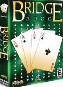 Bridge 3000