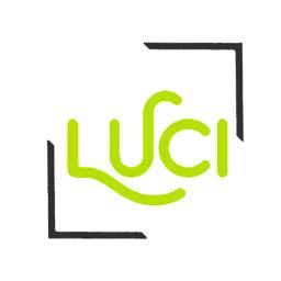 Luci VPN 1.1.2