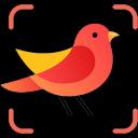 Picture Bird - Bird Identifier 2.9.26