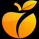 Orange VPN 1.1.1