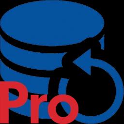 Perfect Backup Pro 3.3.0.885