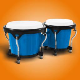 Congas & Bongos: percussions 8.40.1