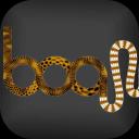 Aescripts BAO Boa 1.5.1 For After Effects