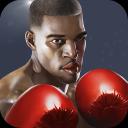 Punch Boxing 3D 1.1.7