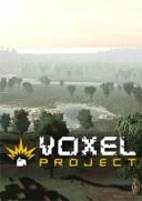 Voxel Project VR