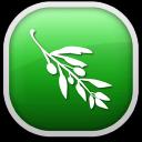 Olive Video Editor 0.2.0
