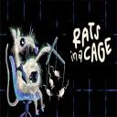 Rats in a Cage