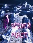 Spider Maze